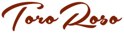 TOROSO-LOGO-flat-red